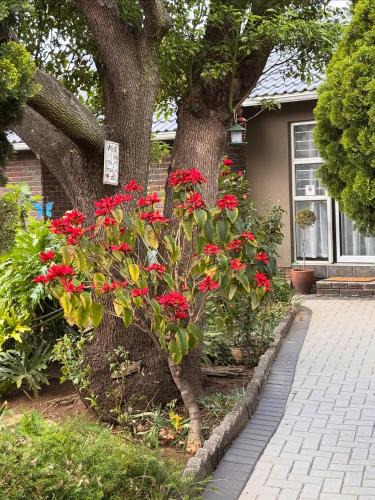 Edenvale Apartment | 15 On Palm East