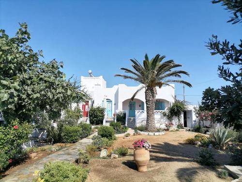 Skiros House | 30 m² House ∙ 1 bedroom ∙ 2 guests