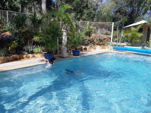 Mapleton Bed & Breakfast | 42 m² Bed and breakfast ∙ 2 guests