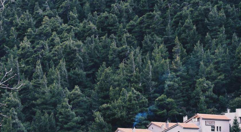 Steni Bed & Breakfast | 50 m² Bed and breakfast ∙ 5 guests