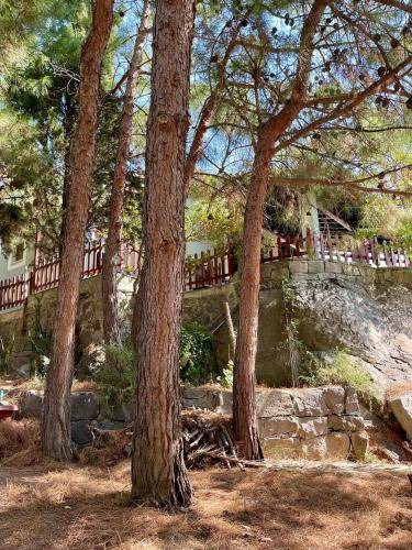 Myrina House | 60 m² House ∙ 2 bedrooms ∙ 4 guests