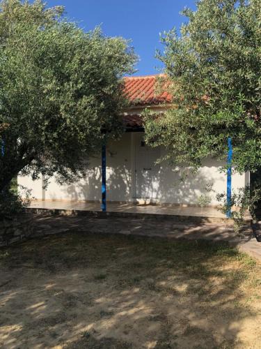 Aggeliki | Kompi