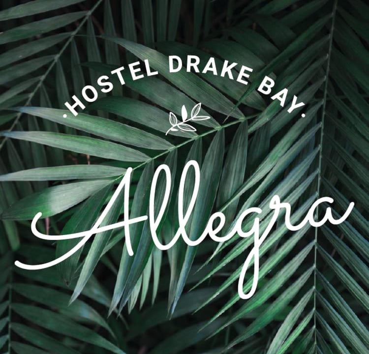 Drake Bay Hostel | Allegra Hostel