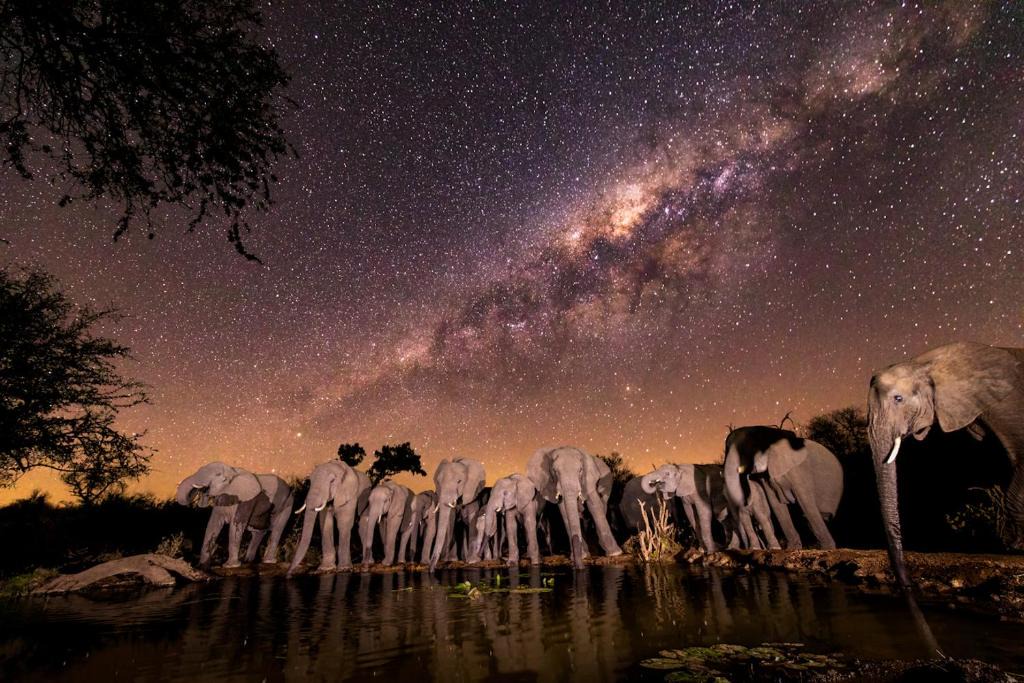Phalaborwa House | Antares Bush Camp & Umgede Hide