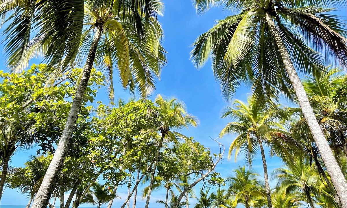 Central Pacific Coast House | BEACHFRONTGEM- owner’s villa-expansive endless beach less traveled. Discounted