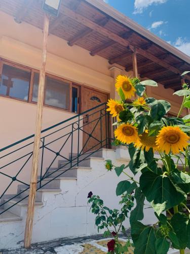 Paravola Apartment | BOKAS EXOTIC HOUSE