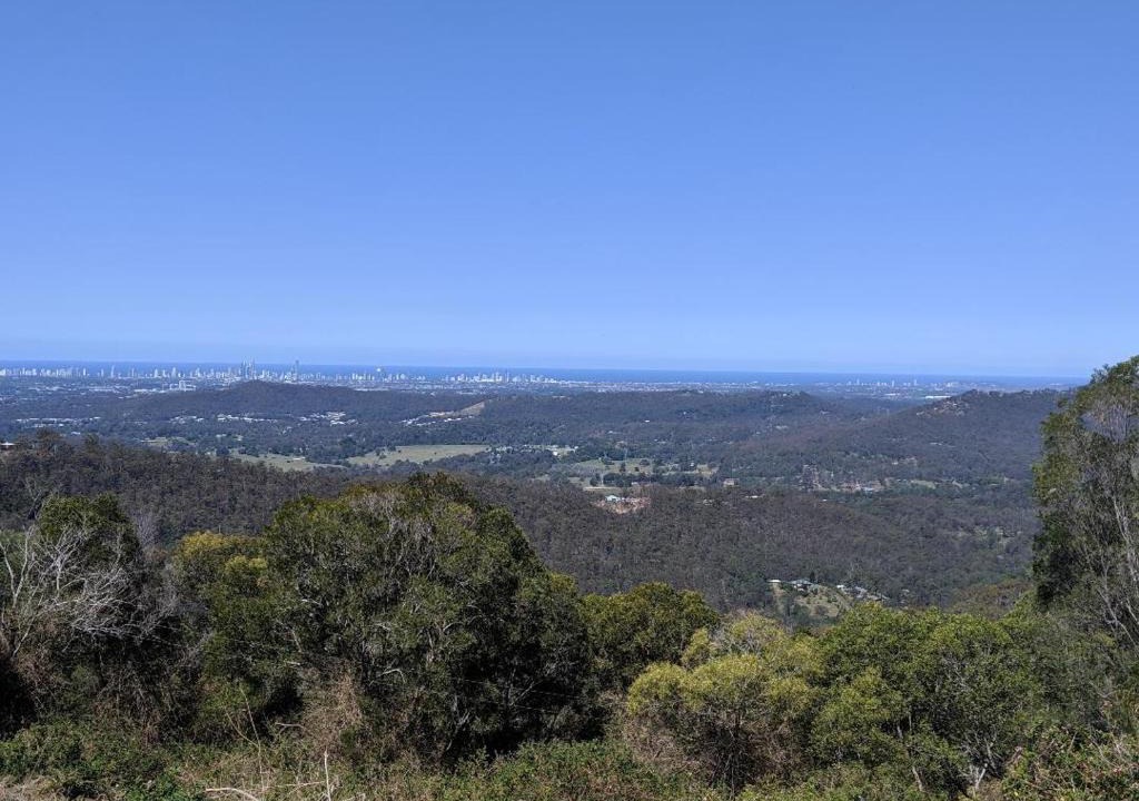 Lower Beechmont House | Bottletree Gardens - Mini Manson Blue