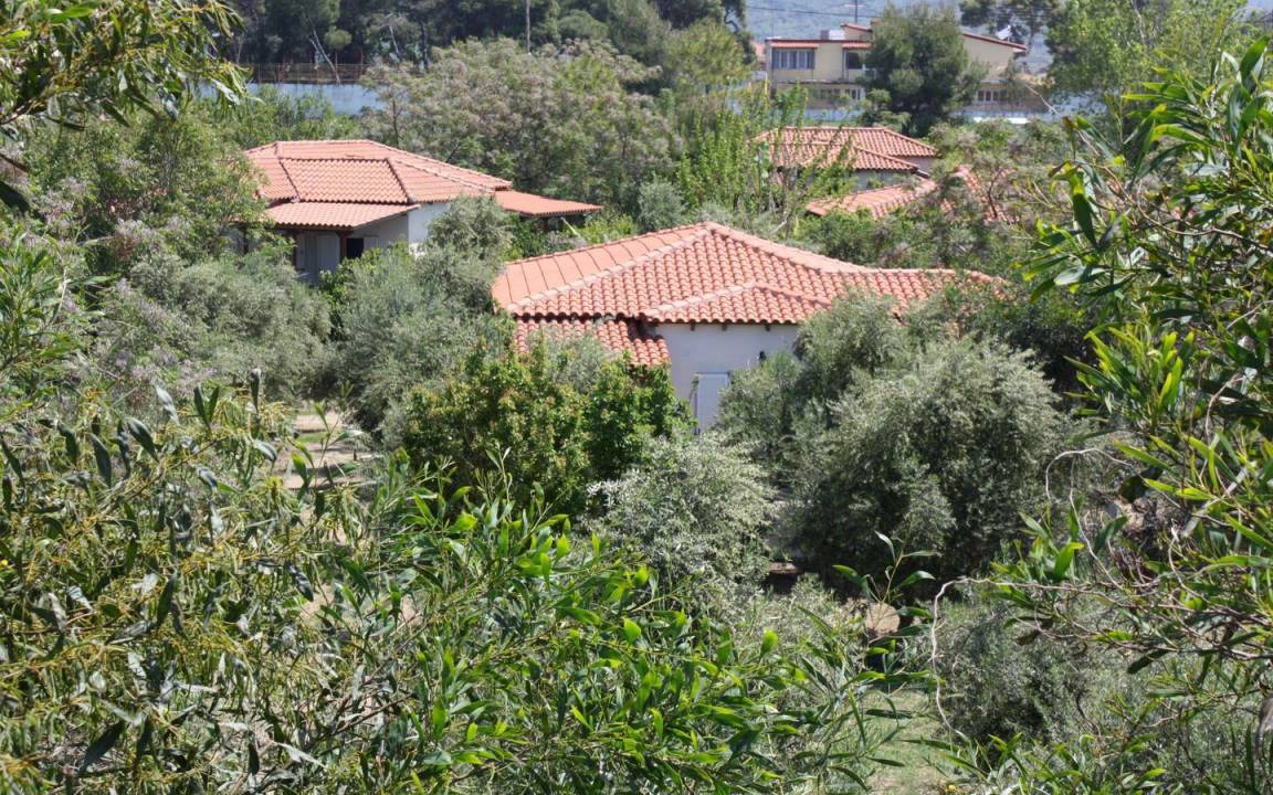Kakovatos House | Calm located, amid an olive grove, close to the beach, wifi holiday house Ilia, Peloponnese