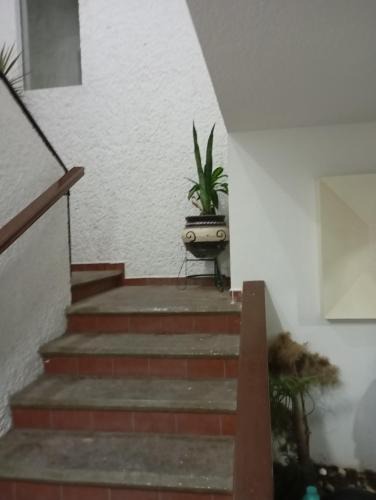 Aguascalientes House | Casa al norte