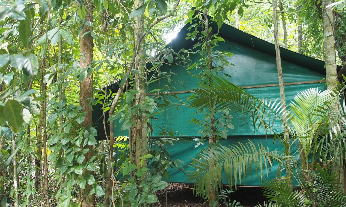 Cow Bay Cabin | Daintree Crocodylus