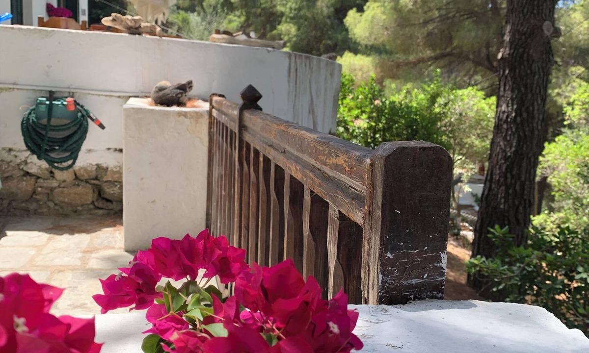 Kanapitsa Villa | Discover Your Enchanting Retreat in Villa Rhodos Skiathos