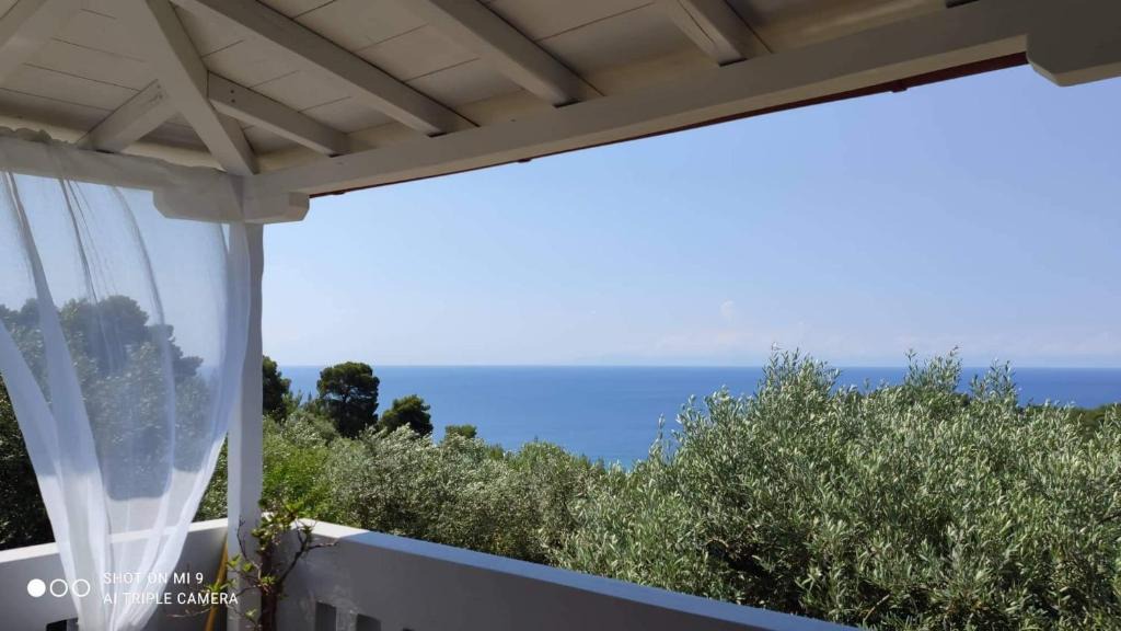 Votsi Apartment | Elia house 1 astoning sea view among the olive trees