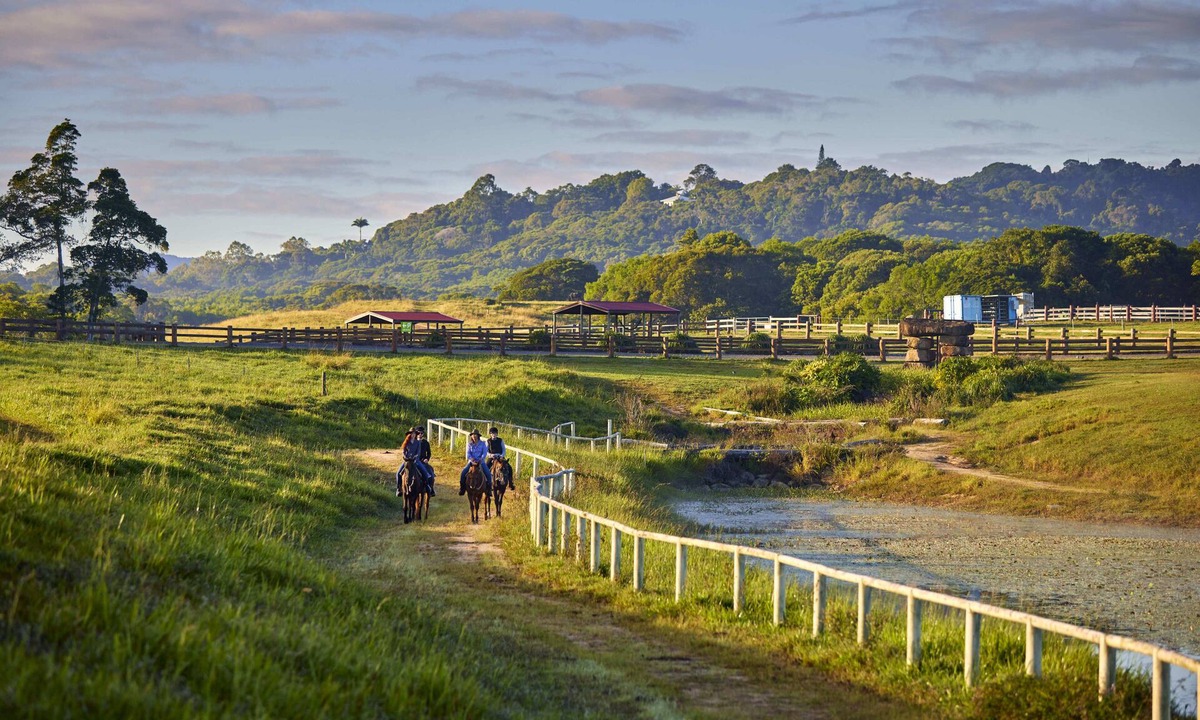 Kuranda Cabin | Farm Stay! Fun activities for the whole family-35 minutes from Cairns CBD