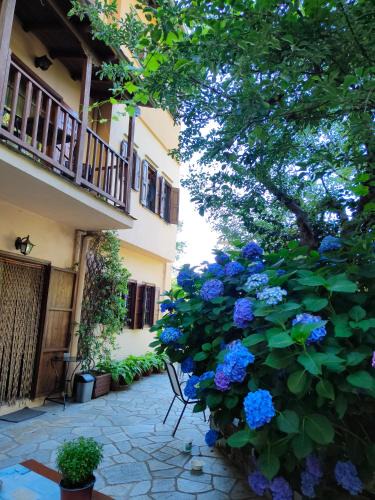 Tsagarada Hotel | Filoxenia