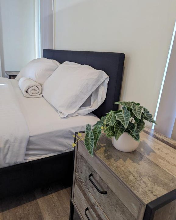 New Auckland House | Gladstone Entire House 4 Beds 2 Baths Air-conditioned in City