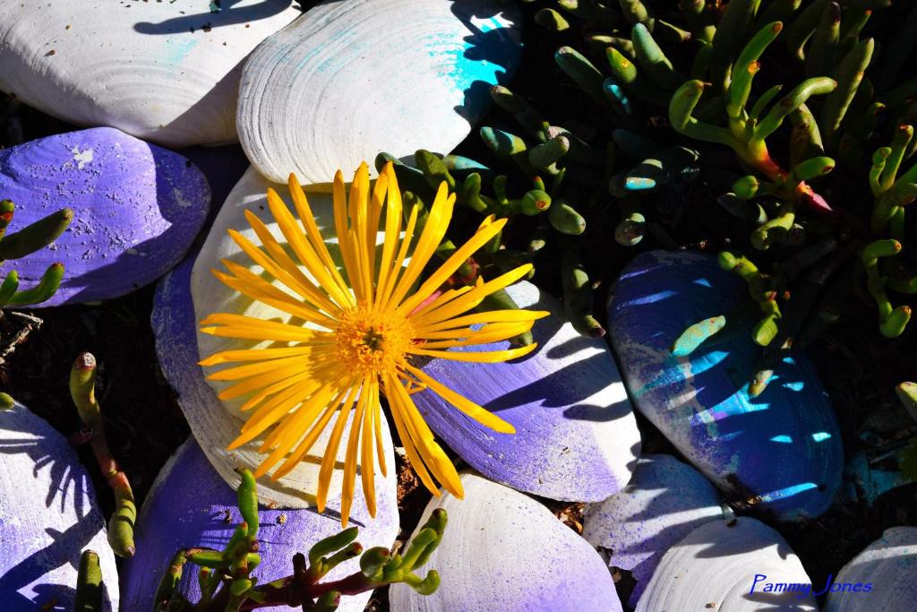 Stompneusbaai Apartment | Golden Mile Beach B&B, St Helena Bay