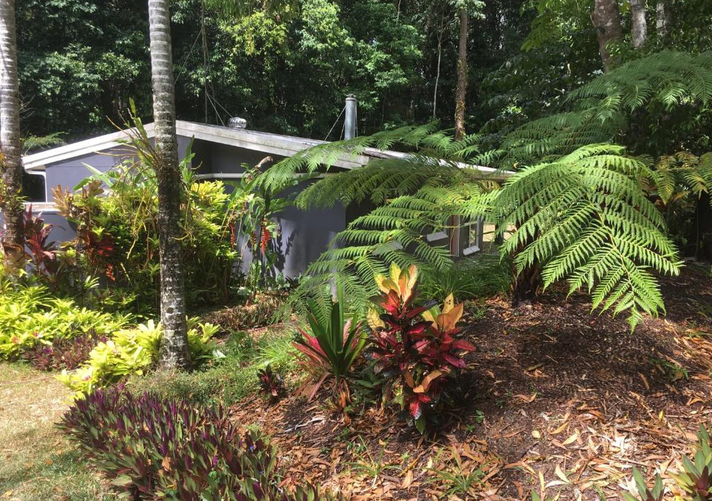 Speewah House | Honeybee House