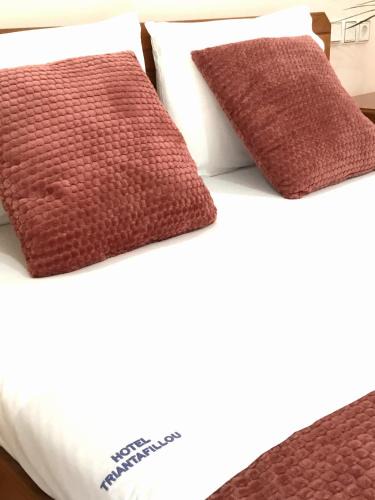 Pentalofos Hotel | Hotel Triantafyllou