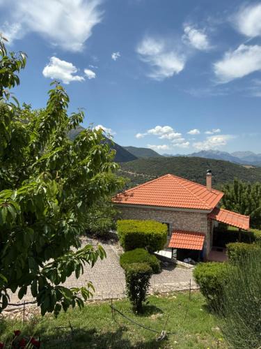 Kalavrita Villa | Kalavryta Villa Nano with fireplace and next the Ski Centre
