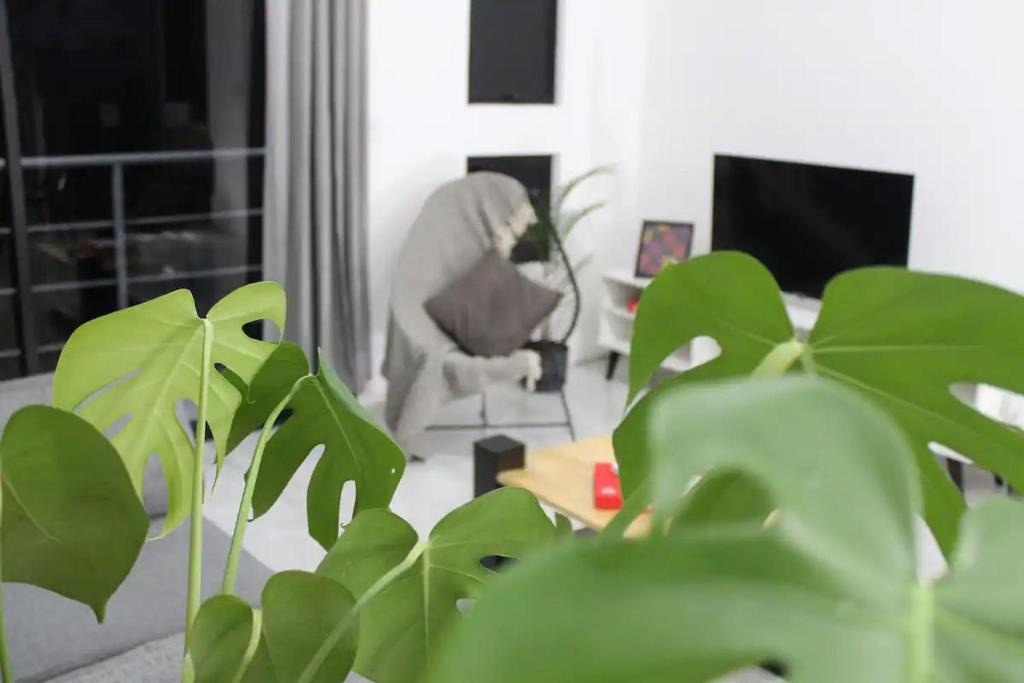 Desamparados Apartment | La Güaria B&B