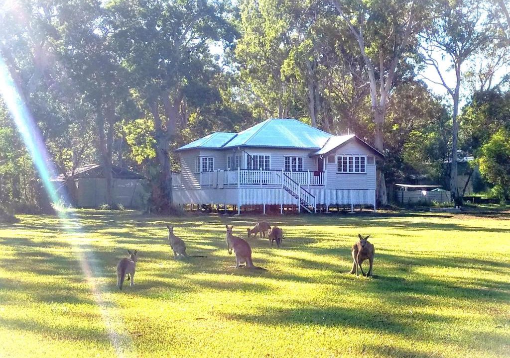 Peregian Beach Cabin | Lake Weyba Noosa Lodge & Kangaroos