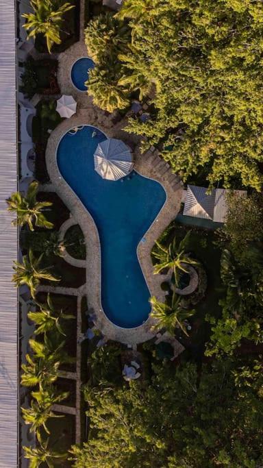 Damas Apartment | Lovely Condo near monkey habitat and beach