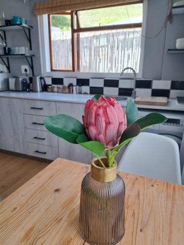 Muizenberg House | Mons Pes in Lakeside