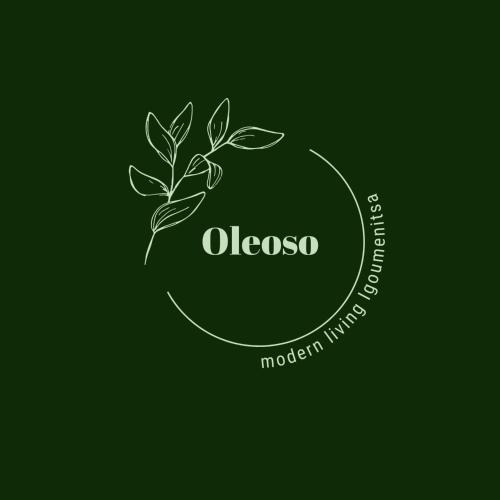 Igoumenitsa Apartment | Oleoso