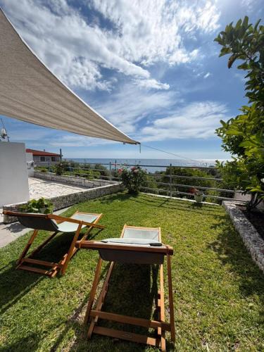 Lygia House | Olive tree villa