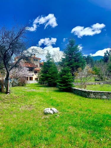 Arachova Apartment | Pine Lodge by Ski Alure