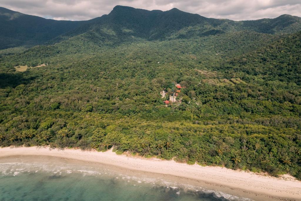 Pk Jungle Village | Cape Tribulation