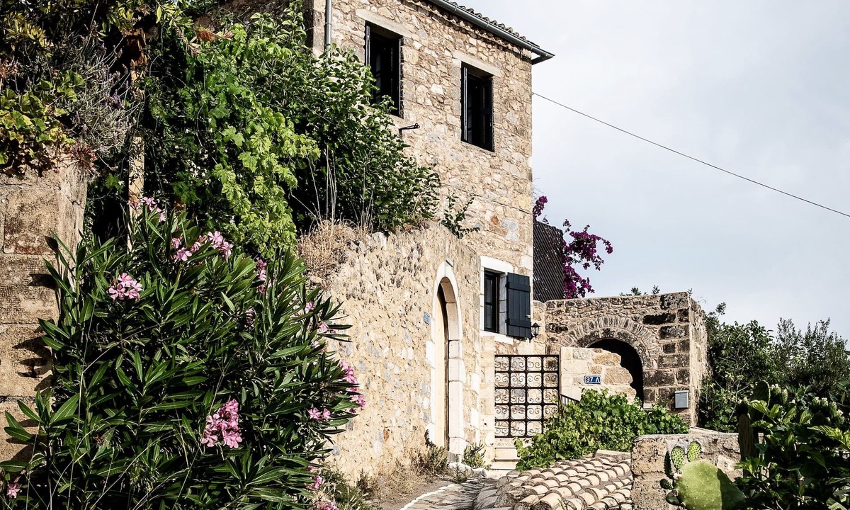 Positivespace Olive Tree | Lefktro