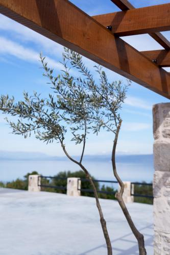 Amfilochia Villa | Queen Bee Luxury Villa- Sparto