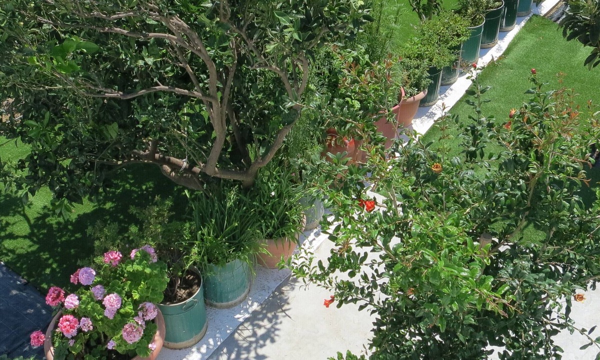 Pitrofos House | Room-andoni's House in Pitrofos Andros i