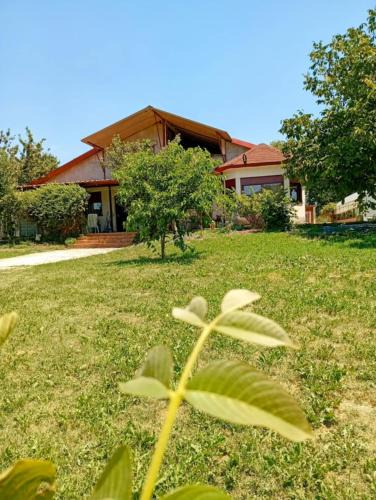 Pamvotida Apartment | Rural hοuse
