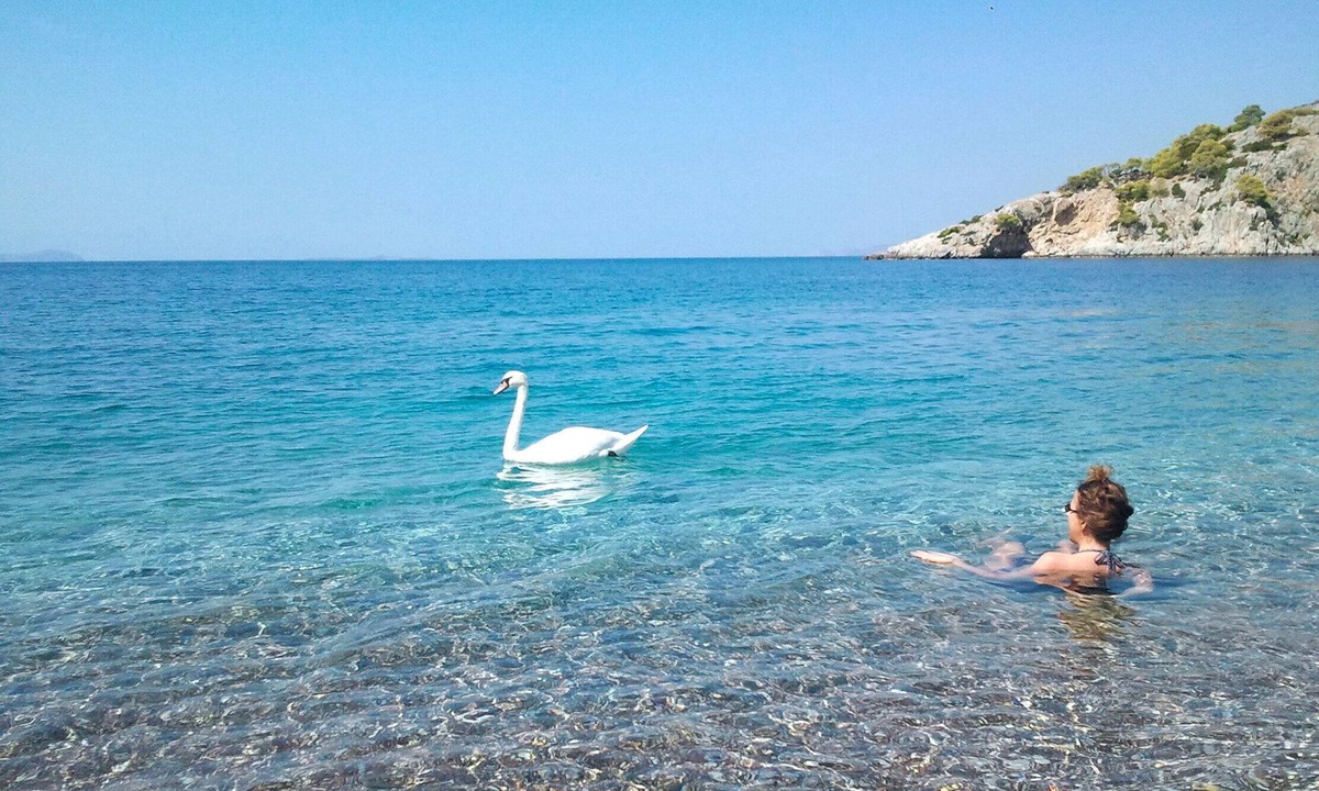 Psatha Villa | Self-catering Beach Studios in front of the sea Only 1h From Athens