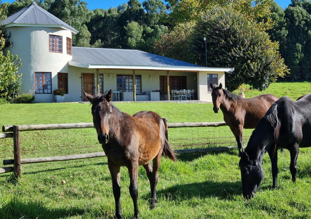 Underberg House | Silo Cottage