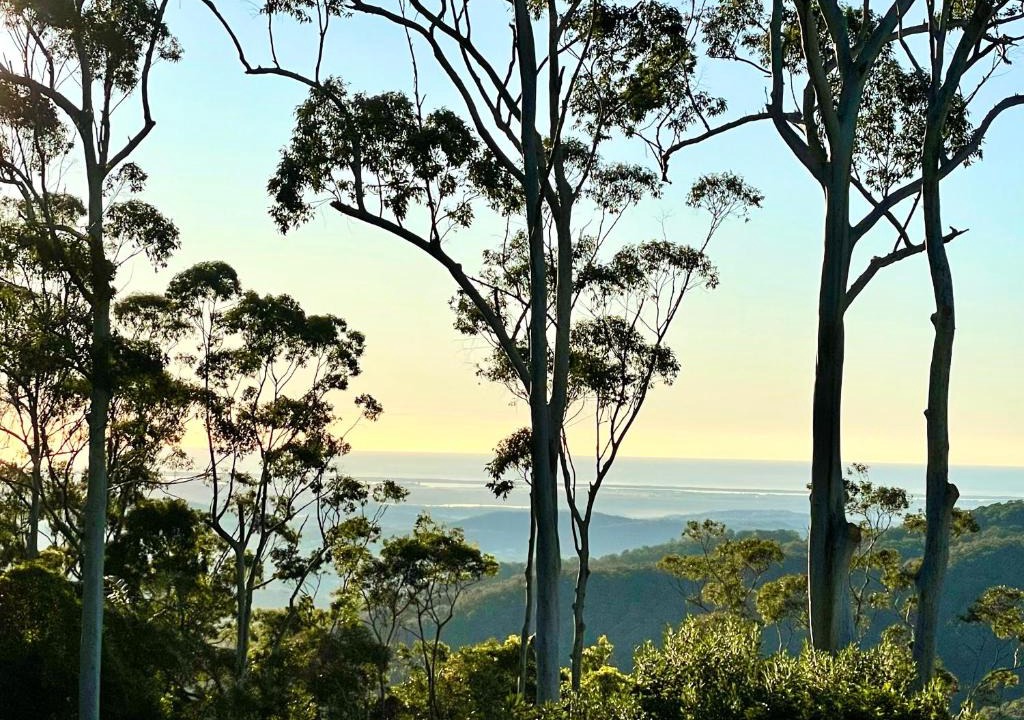 Mount Tamborine Apartment | Tamborine Mountain Lodge