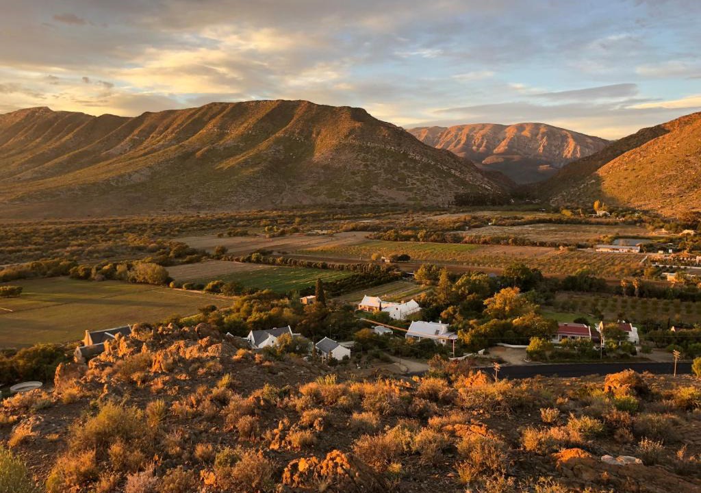 Prince Albert Villa | The Olive House, Prince Albert