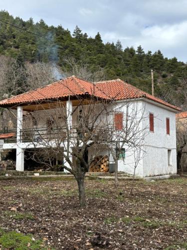 Aigialeia House | To XYLINO