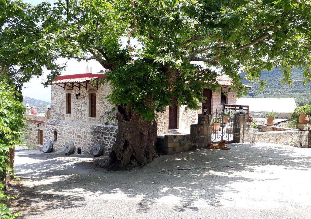 Koukounara House | Traditional House Koukounara
