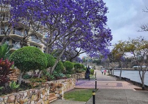 2BR Lovely River ★Retreat Pool★Gym★Wine★Netflix