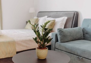 30 m² Apartment ∙ 1 bedroom ∙ 4 guests