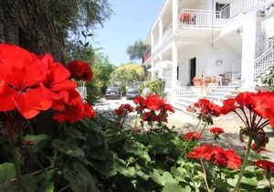 Angeliki Studio and Apartment