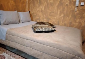 Antonelo I Luxury Aparts