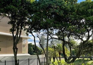 BURLEIGH BEACH - Renovated Unit With Free WIFI