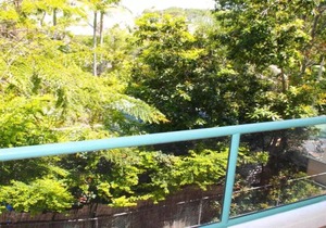 Burleigh Terraces 11 Short stroll to Beach