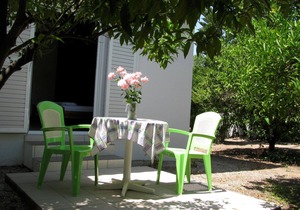 Calm located, amid an olive grove, close to the beach, wifi | holiday house Ilia
