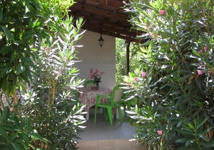 Calm located, amid an olive grove, close to the beach, wifi | holiday house Ilia