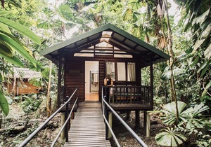 Daintree Wilderness Lodge
